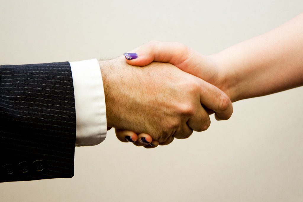 Professional handshake between colleagues
